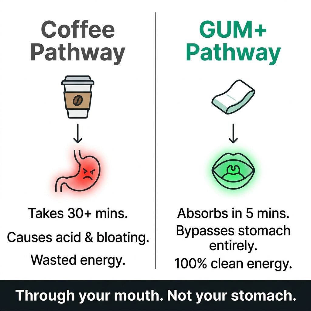 Gum+